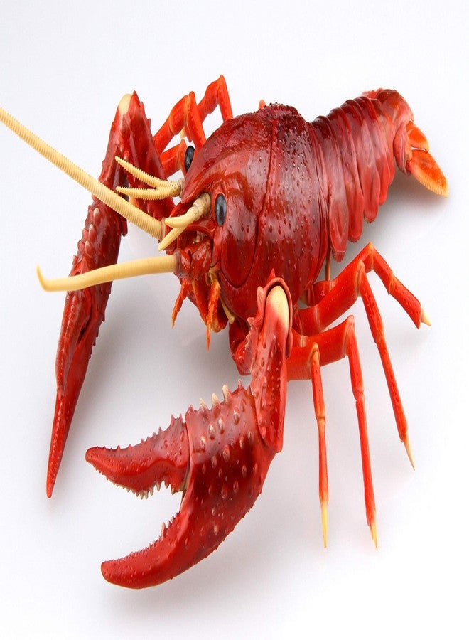 Fujimi Jiyuu Kenkyuu Series No.24 Living Things Swamp Crayfish (Red) Plastic Model - Image 4